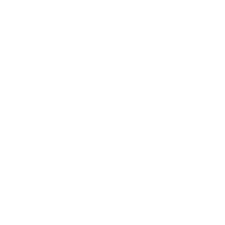 Phoenix OneCase